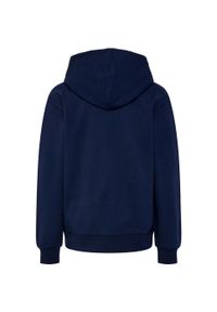 Dziecięca bluza dresowa z kapturem Hummel hmlAtlas. Typ kołnierza: kaptur. Kolor: wielokolorowy, niebieski, czarny. Materiał: dresówka #2