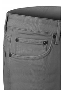Bawełniane Spodnie Chinos, Regular - Pako Jeans - Ciemny Popiel. Okazja: na spotkanie biznesowe, do pracy. Materiał: elastan, bawełna. Styl: klasyczny, biznesowy #5