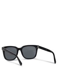 Polo Ralph Lauren Okulary przeciwsłoneczne 0PH4210 Czarny. Kolor: czarny #2