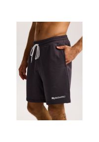 ROUGH RADICAL - Męskie spodenki dresowe Rough Radical Cotton Active Shorts Men. Kolor: szary. Materiał: dresówka. Sport: fitness
