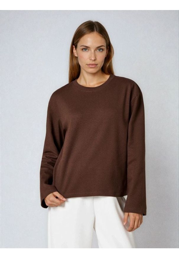 Sinsay - Bawełniana koszulka basic - brązowy. Kolor: brązowy. Materiał: bawełna