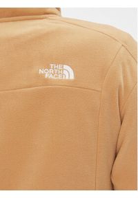 The North Face Polar Homesafe NF0A8565 Brązowy Regular Fit. Kolor: brązowy. Materiał: syntetyk