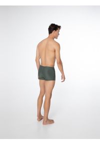 Kąpielówki męskie Protest Carst swimtrunk. Kolor: zielony #2