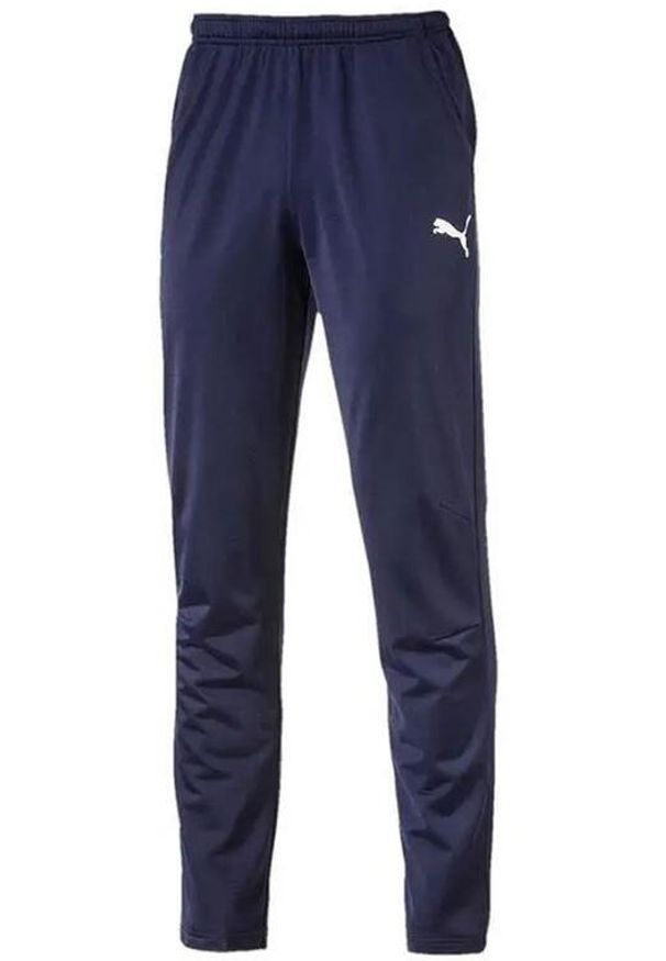 Spodnie Puma Men Liga Pants Core, Mężczyźni. Kolor: niebieski. Materiał: materiał, poliester