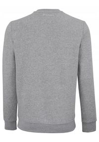 TECNIFIBRE - Bluza dziecięca Tecnifibre Team Sweater. Kolor: szary #2