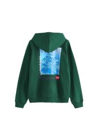 The North Face Bluza Axys Nf0A8C1Q6Gi. Kolor: zielony