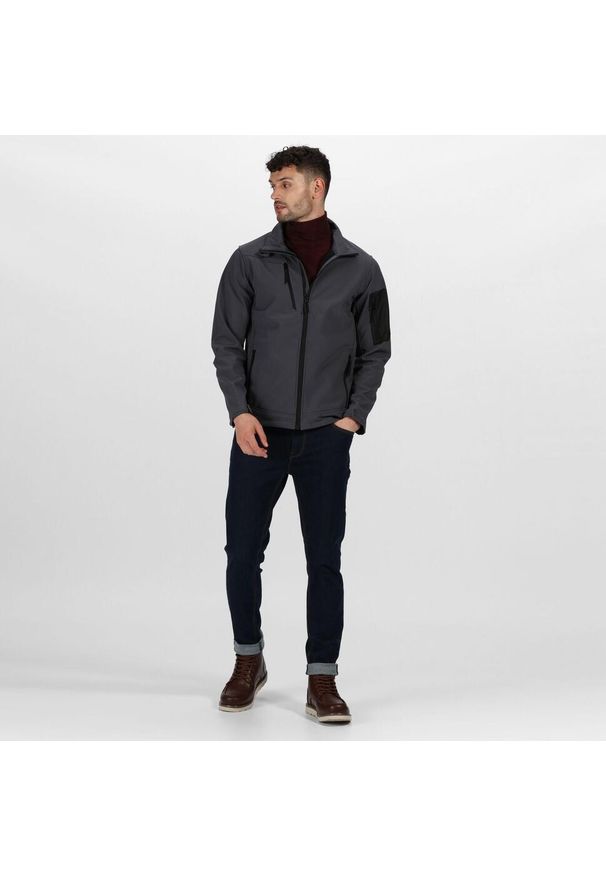 Regatta - Męski Softshell Arcola. Kolor: wielokolorowy, szary, czarny. Materiał: softshell. Sport: turystyka piesza