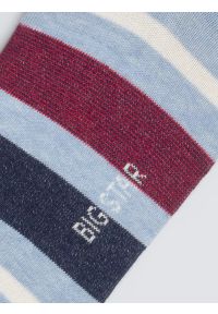 Big-Star - Skarpety męskie bawełniane w kolorowe paski niebieskie Ismaelo 401. Kolor: niebieski. Materiał: bawełna. Wzór: kolorowy, paski #2