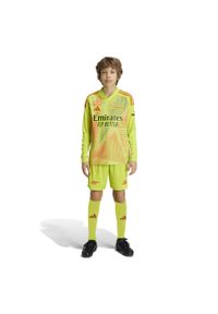 Adidas - Spodenki bramkarskie dla dzieci Arsenal 2024/25. Kolor: żółty. Materiał: materiał. Styl: sportowy