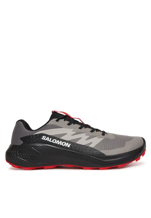 salomon - Salomon Buty do biegania Alphaglide L48000800 Szary. Kolor: szary. Materiał: materiał
