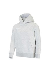 Bluza sportowa z kapturem damska Speedo Club Hoody. Typ kołnierza: kaptur. Kolor: szary