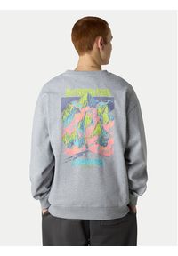 The North Face Bluza Expedition Celebration NF0A8E3G Szary Relaxed Fit. Kolor: szary. Materiał: bawełna