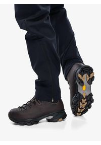 Buty trekkingowe damskie Zamberlan Vioz GTX. Kolor: brązowy