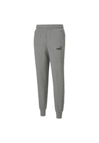 Spodnie Puma Essentials Logo, Mężczyźni. Kolor: szary