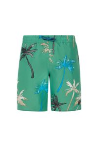 Spodenki kąpielowe dla dzieci Protest Brandon. Kolor: zielony #1