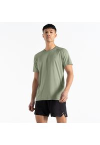 DARE 2B - Koszulka trekkingowa męska Accelerate. Kolor: zielony. Materiał: poliester #1