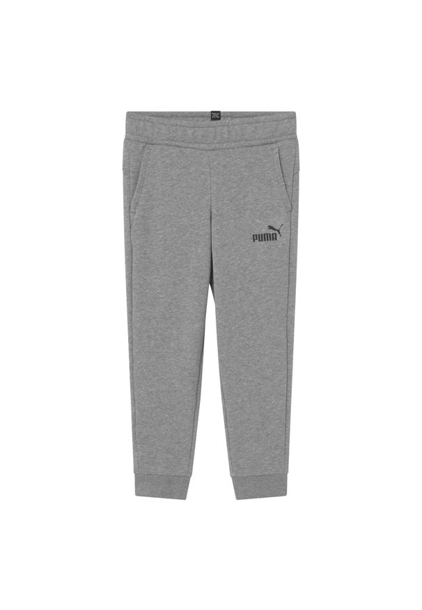 Spodnie dla dzieci Puma ESS Logo Pants TR. Kolor: szary