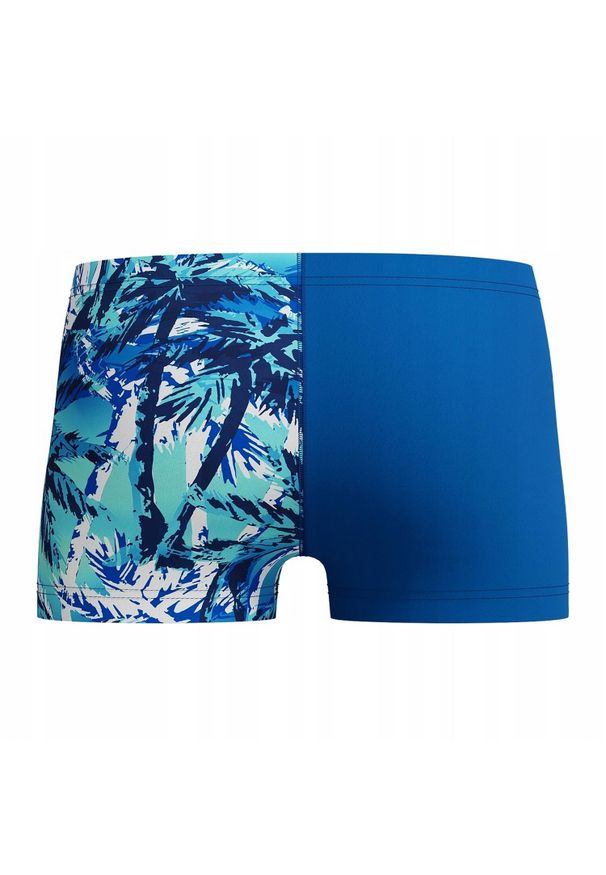 Speedo - Kąpielówki Chłopięce Alvr V. Kolor: niebieski