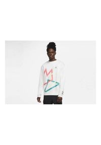 Bluza sportowa męska Nike Air Jordan Sport. Kolor: biały #1