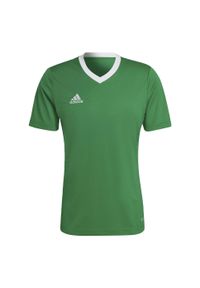 Adidas - Koszulka piłkarska męska adidas Entrada 22 Jersey. Kolor: zielony, biały, wielokolorowy. Materiał: jersey, poliester. Sport: piłka nożna