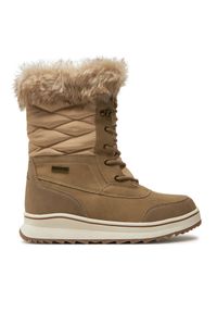 Śniegowce MOLS. Kolor: brązowy #1