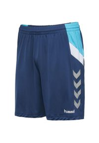 Shorts Hummel Tech Move Jersey Marine 2XL - Oddychające i Elastyczne. Kolor: niebieski. Materiał: jersey. Sport: fitness