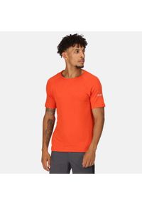 Regatta - Ambulo męska turystyczna koszulka z krótkim rękawem. Kolor: pomarańczowy. Długość rękawa: krótki rękaw. Długość: krótkie. Sport: turystyka piesza