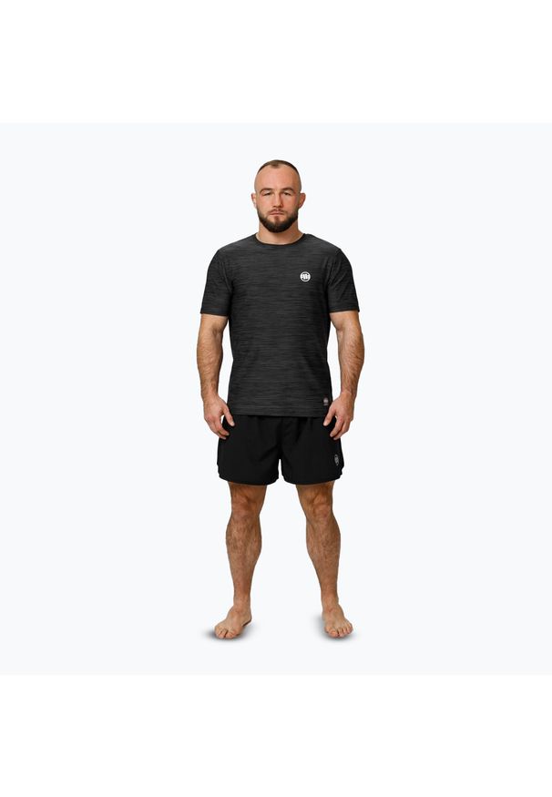 PITBULL - Koszulka męska Pitbull Small Logo Casual Sport. Kolor: szary