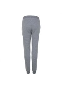 PEAK MOUNTAIN - Damskie spodnie dresowe Peak Mountain Anvers. Kolor: szary. Materiał: dresówka. Sport: bieganie, fitness #2