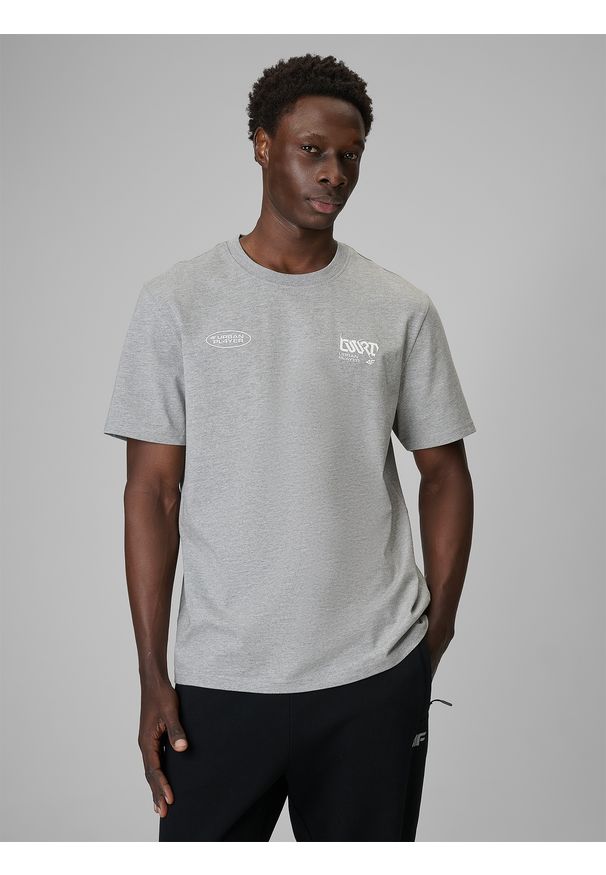 4f - 4F T-shirt regular z nadrukiem męski - szary XL. Okazja: na co dzień. Kolor: szary. Materiał: dzianina, bawełna, materiał. Długość: długie. Wzór: nadruk. Styl: casual