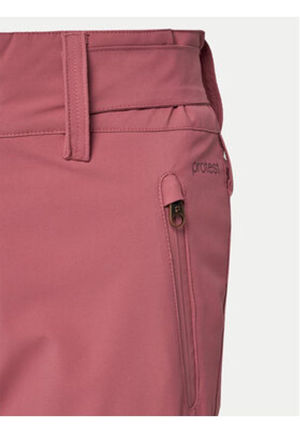 Protest Spodnie narciarskie Cinnamones 4612400 Różowy Regular Fit. Kolor: różowy. Materiał: syntetyk. Sport: narciarstwo