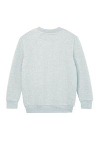 MANTIS - Bluza Dziecięca Essential Plain. Kolor: szary