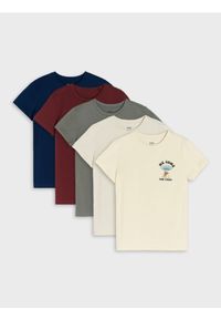 Sinsay - Koszulki 5 pack - bordowy. Kolor: czerwony