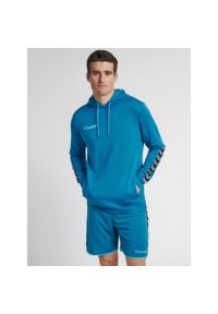 Bluza do piłki ręcznej męska Hummel hml AUTHENTIC Poly. Kolor: wielokolorowy, niebieski, turkusowy. Sport: fitness