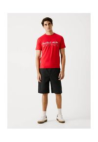 Pepe Jeans T-Shirt Red Bull Racing Logo Print 2025 Czerwony Regular Fit. Kolor: czerwony. Materiał: bawełna. Wzór: nadruk #3