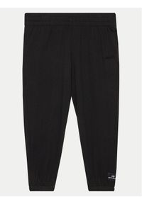 DKNY Sport Spodnie dresowe DPPP2982 Czarny Regular Fit. Kolor: czarny. Materiał: bawełna