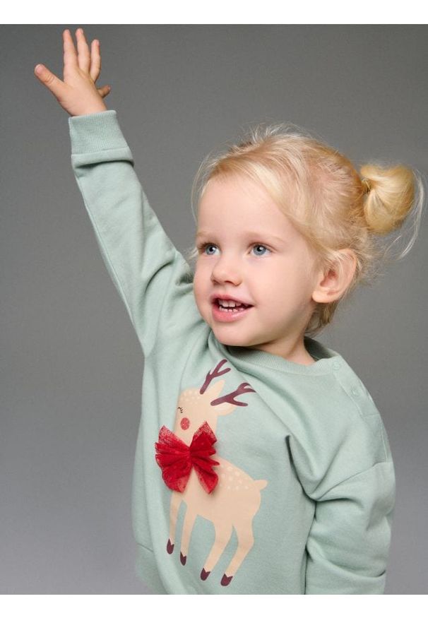 Sinsay - Bawełniana bluza z nadrukiem jesiennym - zielony. Kolor: zielony. Materiał: bawełna. Wzór: nadruk. Sezon: jesień