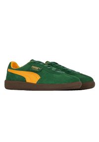 Buty Mężczyzna Puma Palermo zielony. Okazja: na co dzień. Kolor: zielony. Materiał: tkanina