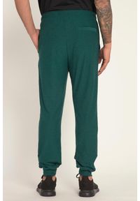 JAY-PI - Męskie Spodnie dresowe FLEXNAMIC® materiał szybkoschnący do fitnessu. Kolekcja: plus size. Kolor: zielony. Materiał: elastan, poliester, materiał. Sport: fitness
