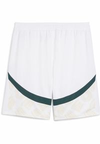 Puma - Męskie szorty Wybrzeże Kości Słoniowej 2025 PUMA White Dark Myrtle Green. Kolor: biały, wielokolorowy, zielony
