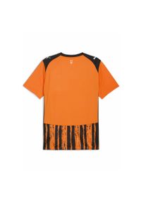Puma - Męska koszulka domowa FC Shakhtar Donetsk 25/26 PUMA Rickie Orange Black. Kolor: czarny, pomarańczowy, wielokolorowy, żółty