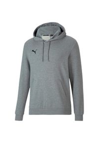 Puma - Męska Bluza Z Kapturem TeamGoal 23. Typ kołnierza: kaptur. Kolor: szary