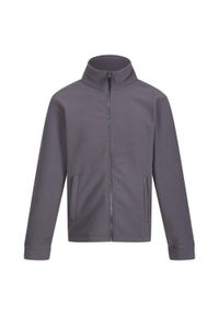 Regatta - Męska Bluza Polarowa Thor 300. Kolor: szary. Materiał: polar. Sezon: zima. Styl: sportowy. Sport: turystyka piesza #1