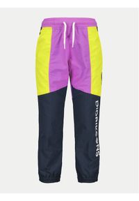 Didriksons Spodnie dresowe Hjortron 505209 Fioletowy Active Fit. Kolor: fioletowy. Materiał: syntetyk