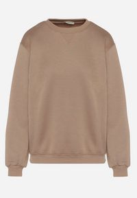 Born2be - Ciemnobeżowa Bluza z Bawełną Ozdobiona Przeszyciami Fezoria. Okazja: na co dzień. Kolor: beżowy. Materiał: bawełna. Wzór: aplikacja. Styl: casual, klasyczny #2