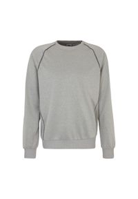 Fila - Bluza męska FILA Landin Raglan Crew Sweat. Kolor: szary. Długość rękawa: raglanowy rękaw #1