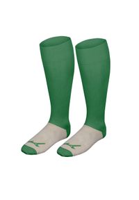 Pakiet 6 skarpet Mizuno Team trad. Kolor: zielony. Sport: piłka nożna #1
