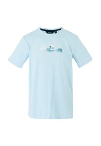 Regatta - T-shirt Męski Z Deską Surfingową Cline IX. Kolor: niebieski