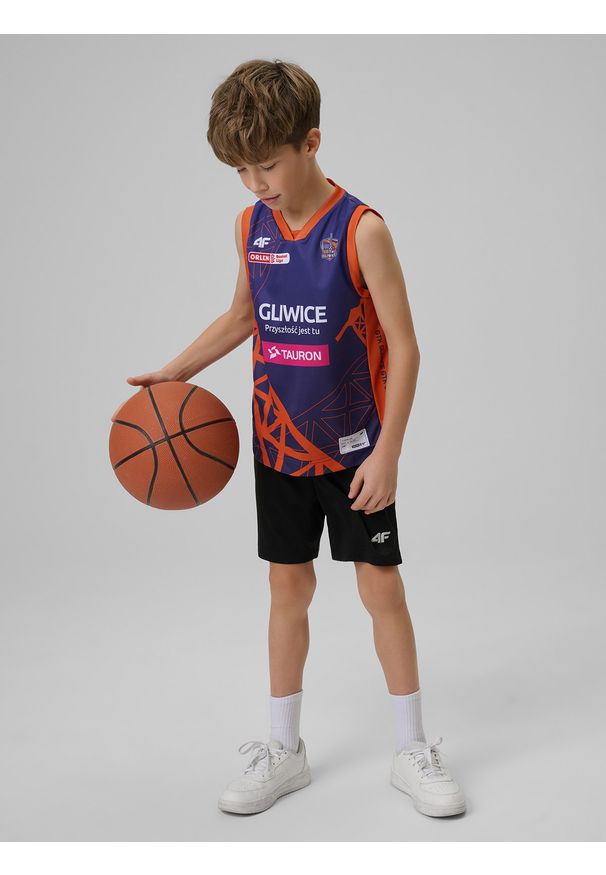 4f - 4F Koszulka meczowa replika wyjazdowa z sezonu 2024/25 dziecięca 4F x GTK Gliwice - multikolor 98/104. Typ kołnierza: dekolt w serek. Kolor: wielokolorowy. Materiał: włókno, dzianina, syntetyk, materiał. Wzór: gładki, ze splotem, nadruk. Sezon: lato. Sport: fitness, koszykówka