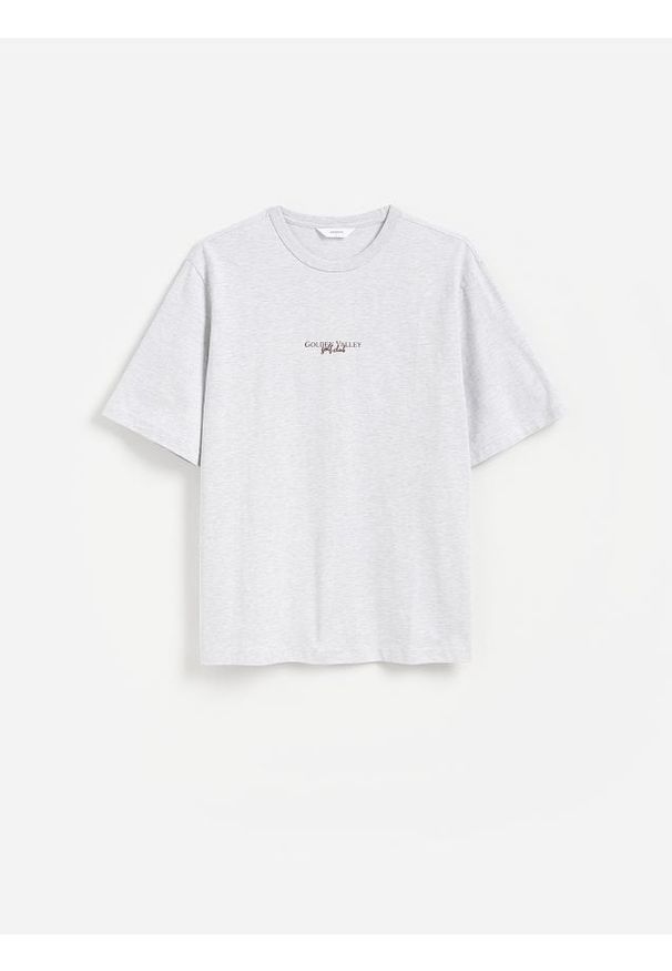 Reserved - T-shirt relaxed fit z nadrukiem - jasnoszary. Kolor: szary. Materiał: bawełna, dzianina. Wzór: nadruk